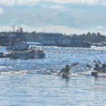 Pelancongan Regatta Lepa