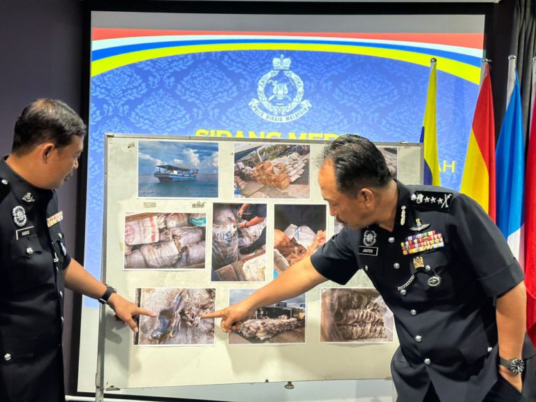 Seludup spesis hidupan laut dilindungi bernilai lebih RM4.5 juta, dirampas