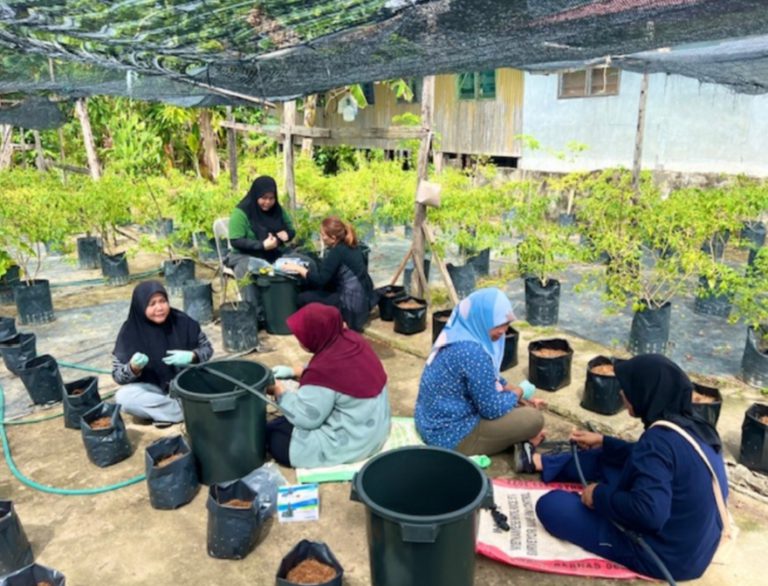 PPIB, UMS pupuk budaya pertanian komersial kalangan komuniti luar bandar dalam penanaman ‘bawing’