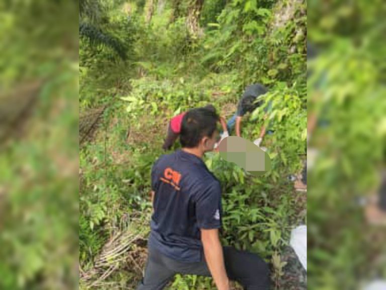 Mayat wanita dengan kesan tetakan di badan ditemui di ladang sawit