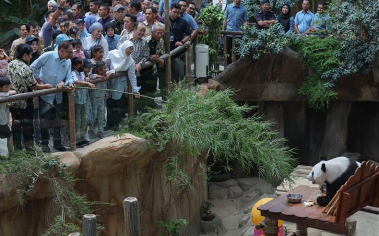 Tanggungjawab Moral Untuk Ahli Politik, Pesara Pilih Satu Pencen – PM Anwar