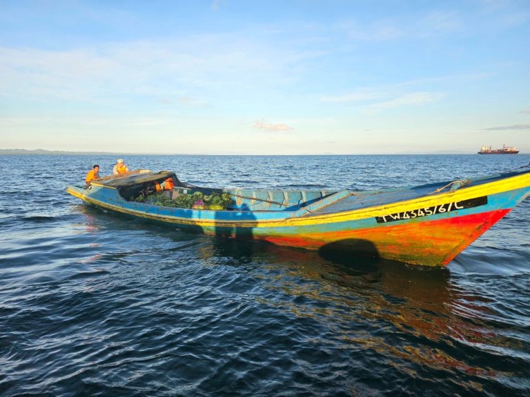 Cubaan seludup masuk produk kosmetik tanpa permit gagal