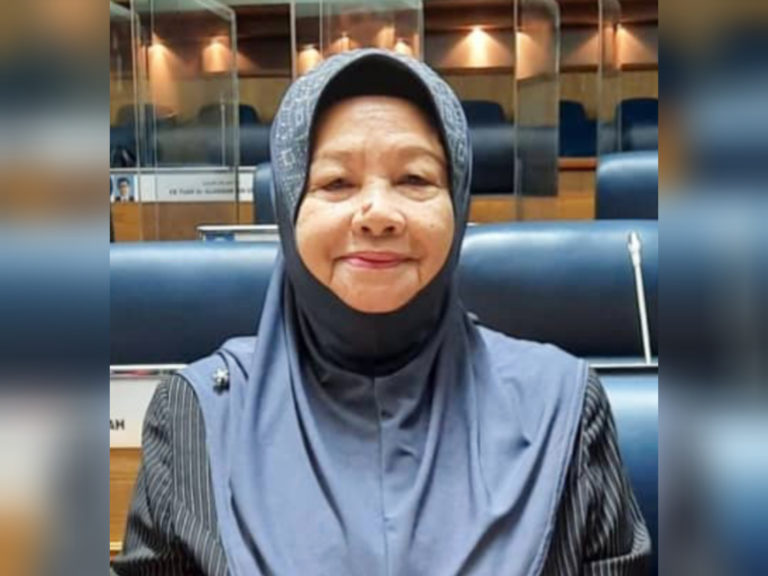 Sabah perlu perkasa usaha guna ‘Tenaga Boleh Baharu’, lestari alam sekitar – Amisah