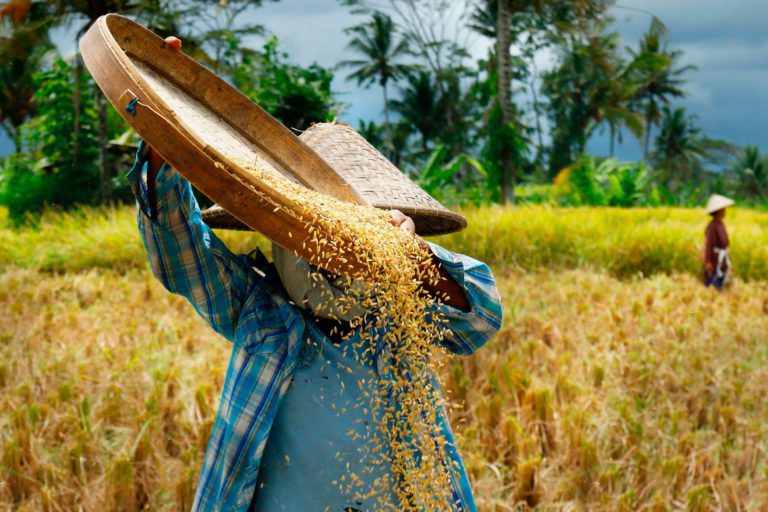 Menoktahkan isu ‘Games’ Di Dalam Bernas Untuk Jaminan Keselamatan Makanan Negara