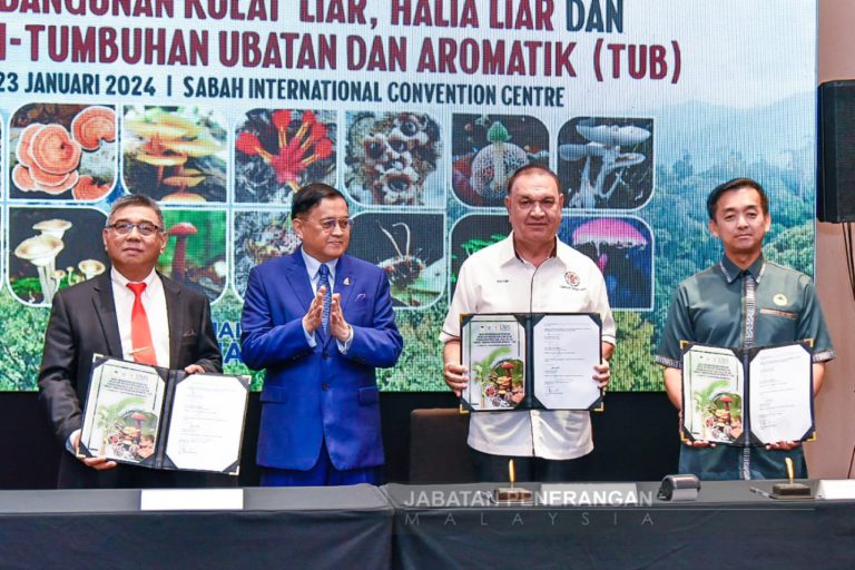 KYS, UMS dan Jabatan Perhutanan Sabah komited terajui projek TUB