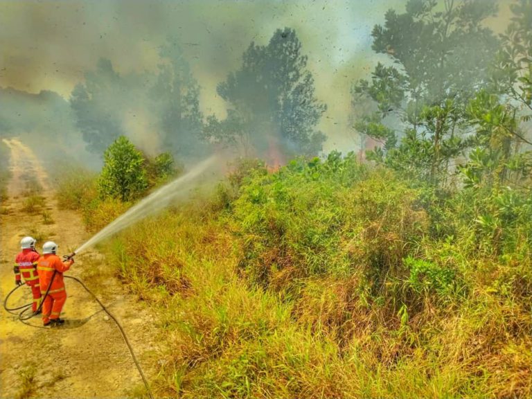 Sabah rekod 305 kes kebakaran terbuka