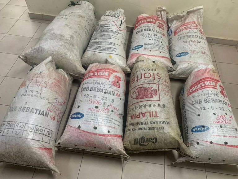 Lelaki tempatan ditahan bersama 102.7 kg daun ketum di Tenom