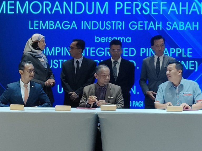 Program IPR Intan diteruskan tahun ini bagi penanaman nanas MD2