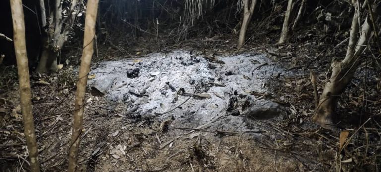 Penemuan serpihan tulang manusia telah dibakar, suspek lelaki ditahan