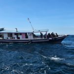 WhatsApp Image 2024-04-30 at 5.28.42 PM (1)