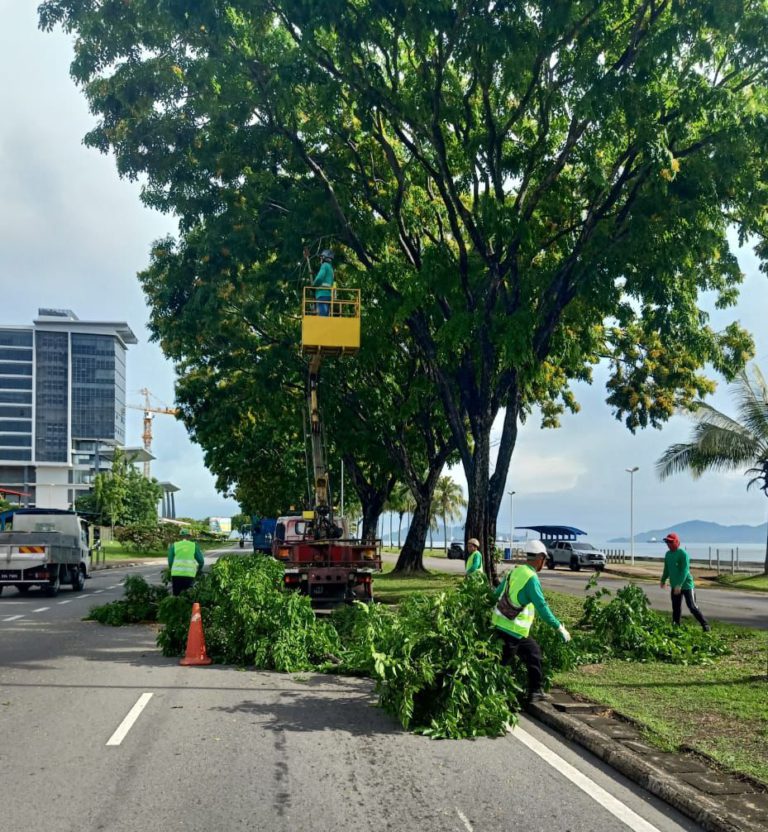 DBKK serius dalam pengurusan pokok matang, elak risiko keselamatan warga bandar raya