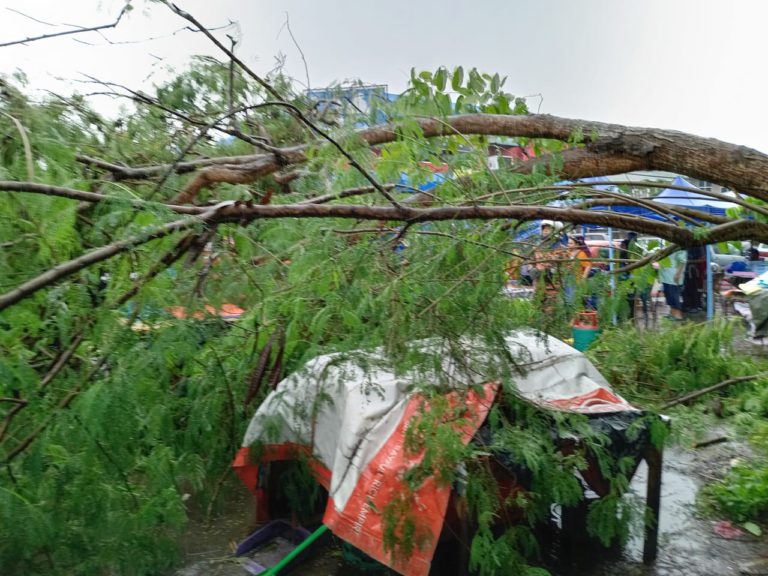 Tiga gerai jual makanan rosak dihempap pokok