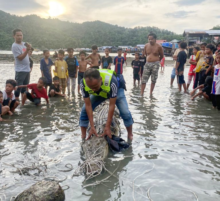 Penduduk berjaya tangkap buaya di Kg Lok Baru, Pulau Gaya