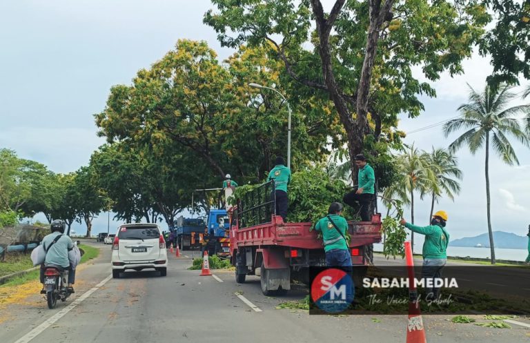 DBKK laksana pemeriksaan berjadual ke atas pokok dibawah seliaan