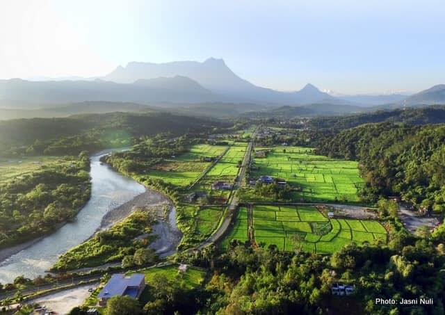 Kota Belud Bakal Menjadi Tunjang Pengeluaran Beras Di Sabah