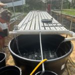 Gambar 1 Pemasangan Sistem Aquaponik di Aling Hidroponik Farm