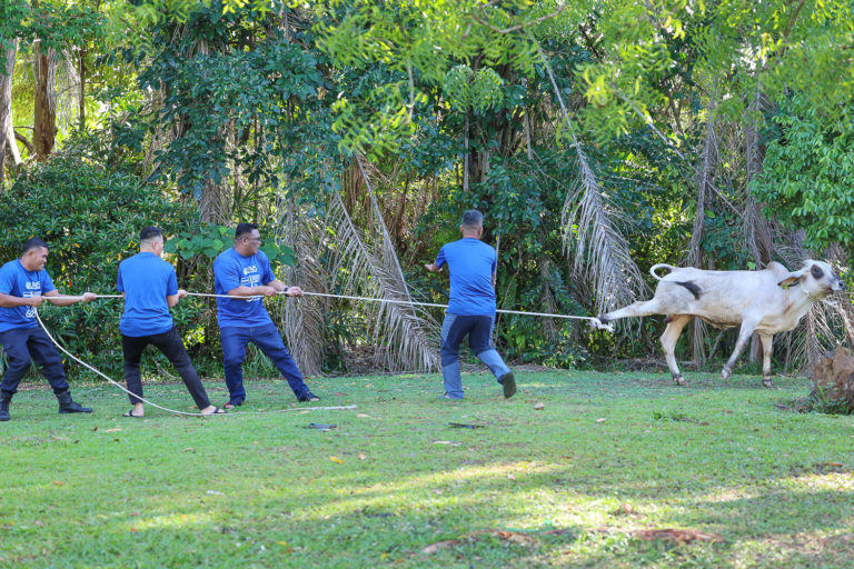 UMS terus tradisi laksana ibadah korban sempena Aidiladha