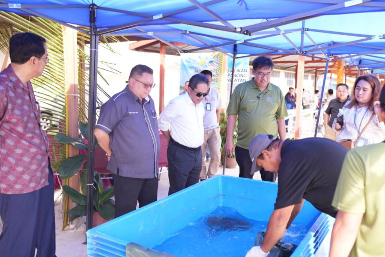 TMA Ko-Nelayan usaha sedia hub informasi, rekreasi dalam industri perikanan akuakultur