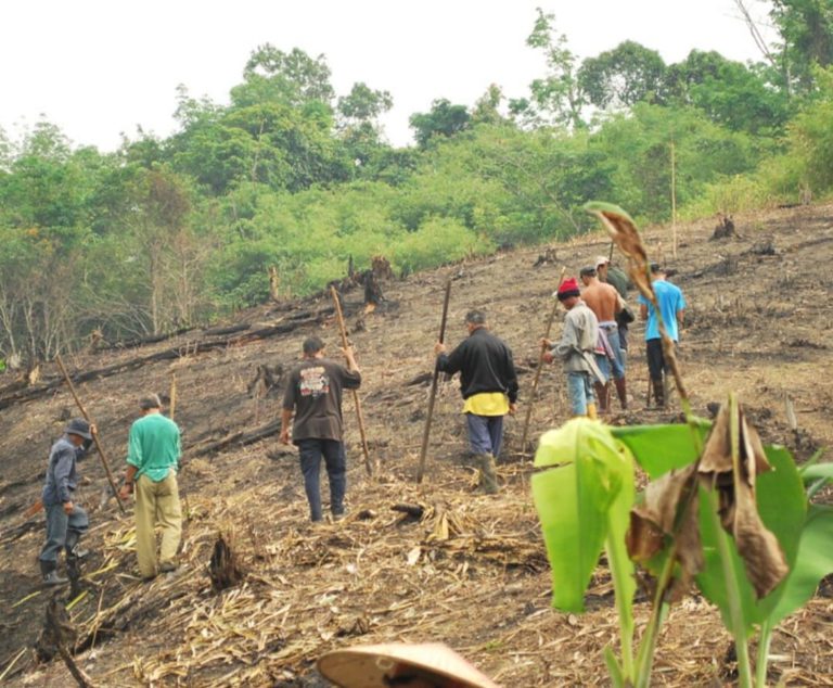 Tongod berpotensi dijadikan jelapang padi bukit Sabah – Masiung