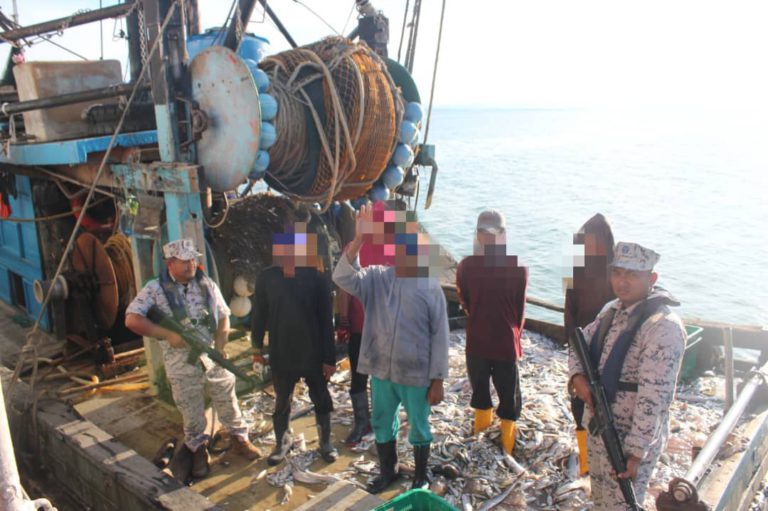 Dua bot tempatan ditahan atas pelbagai kesalahan