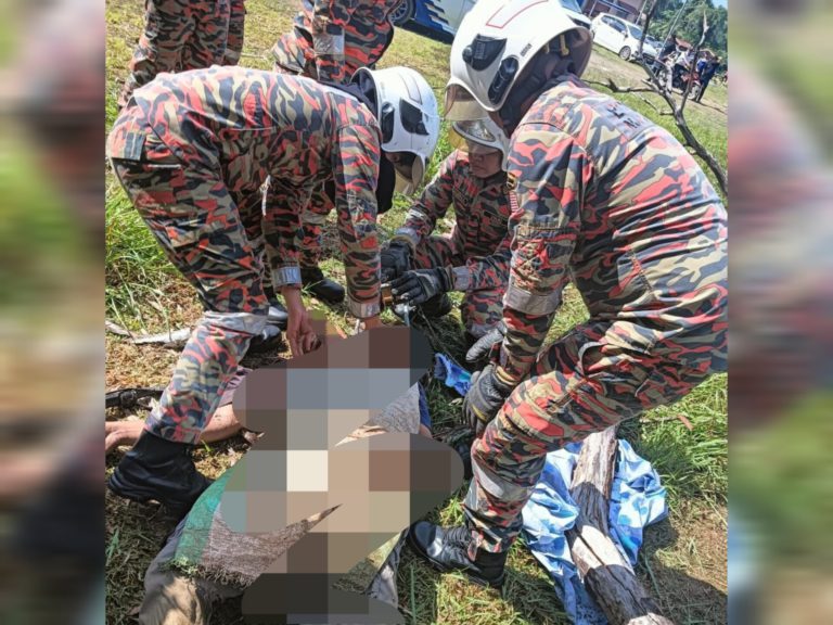 Pemotong rumput maut dihempap pokok