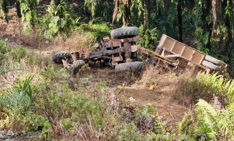 Tiga pekerja maut, empat cedera parah, jentera traktor dinaiki jatuh gaung