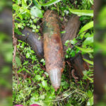 InShot_20240621_211917157