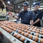 WhatsApp Image 2024-06-19 at 3.08.42 PM (1)