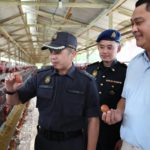 WhatsApp Image 2024-06-19 at 3.08.42 PM