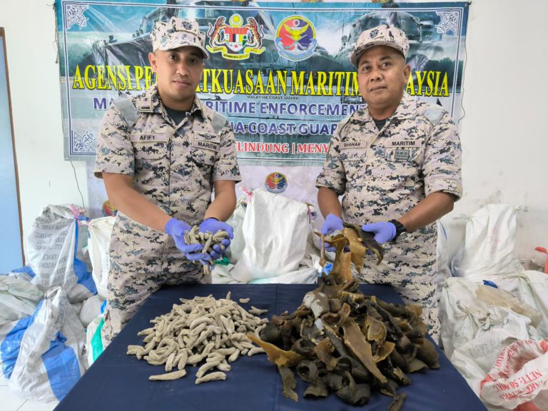 Maritim Malaysia gagalkan cubaan seludup daging kering penyu, balat