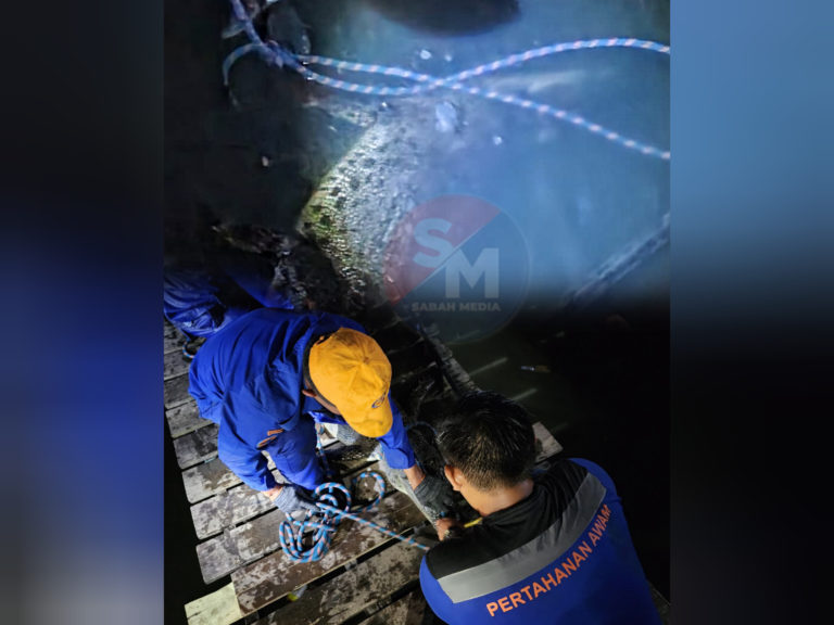 Ops Buaya: JHL tembak mati buaya betina di Kg Sabah Baru