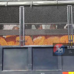 InShot_20240725_104805592