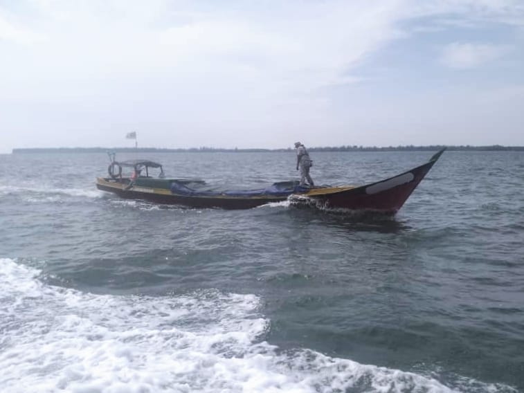 Cubaan seludup keluar ikan bilis ke negara jiran gagal