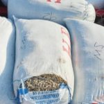 WhatsApp Image 2024-07-27 at 4.46.05 PM