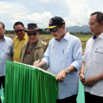 InShot_20240813_154557722