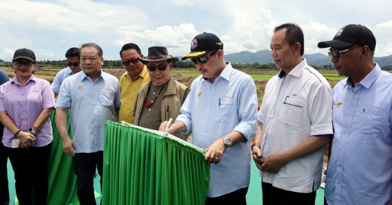 Projek rintis penanaman padi seluas 100 hektar dilancar di Kota Marudu