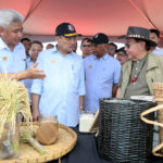 InShot_20240813_154611280