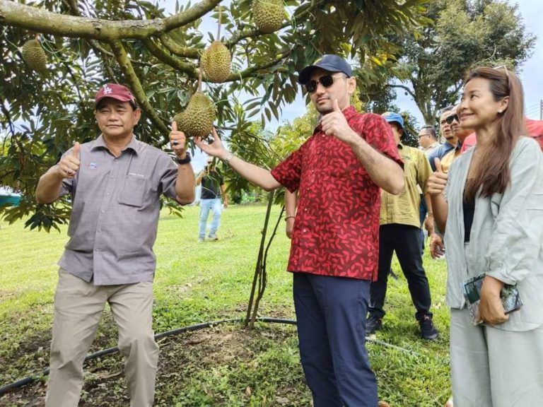 Sabah Durian Tourism Bazaar bantu tingkat sektor agropelancongan