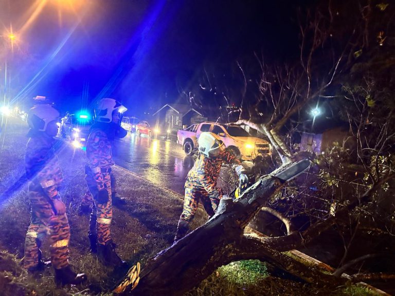 JBPM Sabah terima 17 kes berkaitan pokok tumbang