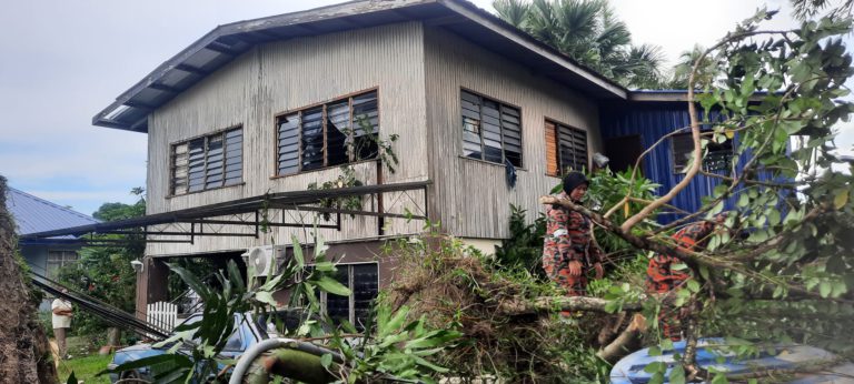 518 kes pokok tumbang berlaku di Sabah