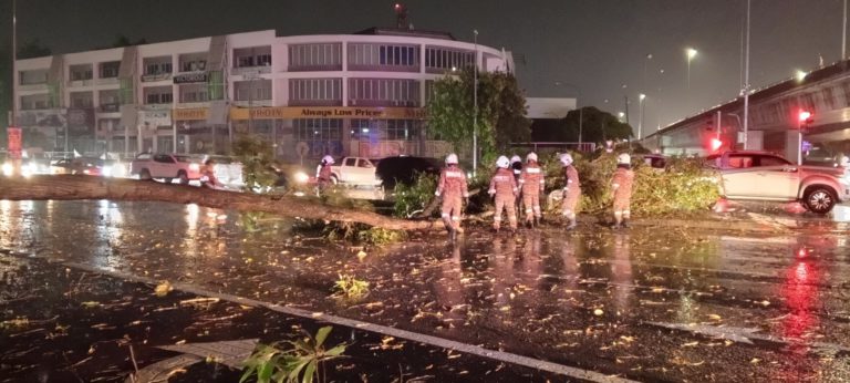 20 kes pokok tumbang dilaporkan berlaku dalam tempoh 24 jam