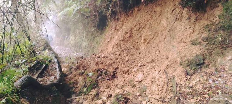 Tanah runtuh, pokok tumbang di laluan pendakian Gunung Kinabalu
