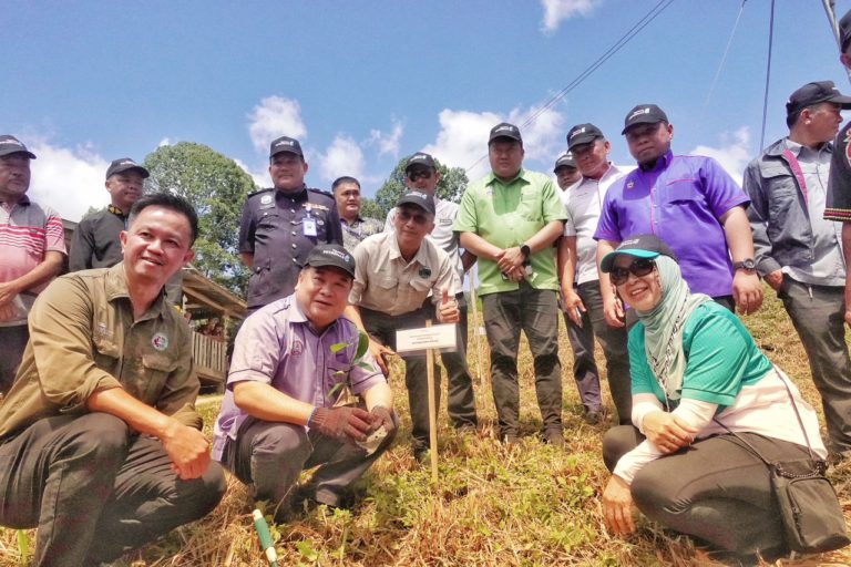 Yayasan Petronas & Jabatan Perhutanan Sabah bekerjasama pulihkan Hutan Simpan Kungkular