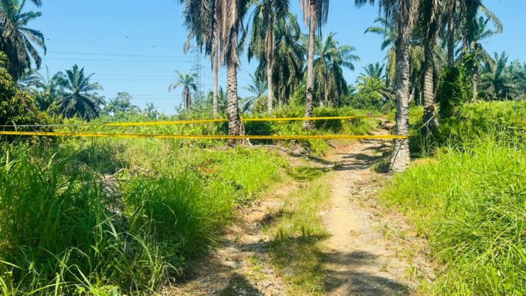 Lelaki tempatan mati dibunuh, 4 suspek ditahan