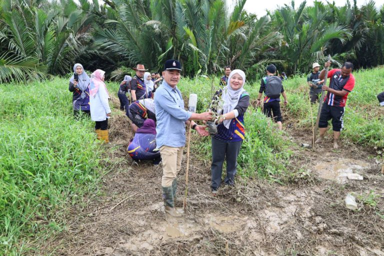 Penanaman pokok perapat bantu kekalkan ekosistem hutan