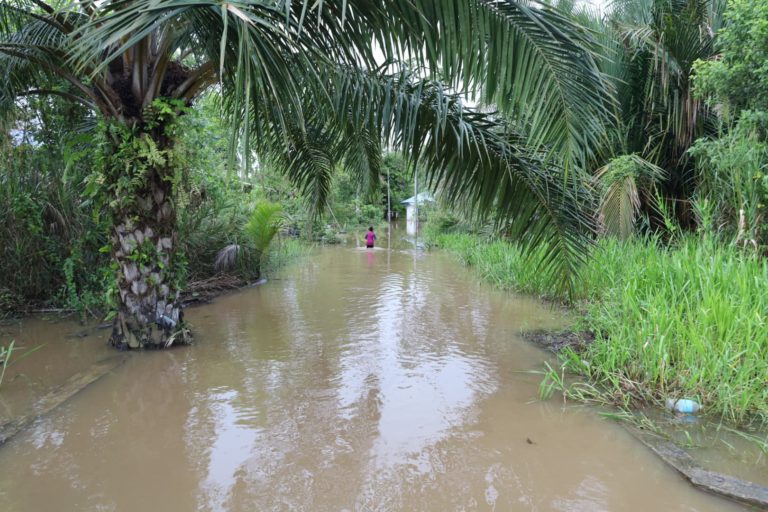 Lima kampung dikenal pasti kawasan berisiko banjir