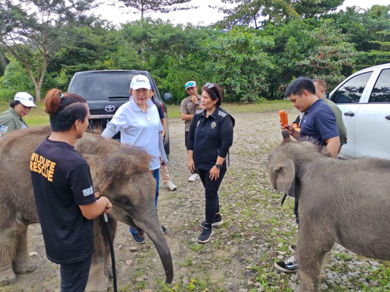 JHL disaran tingkat keupayaan Pusat Perlindungan Gajah Borneo sebagai tarikan pelancong