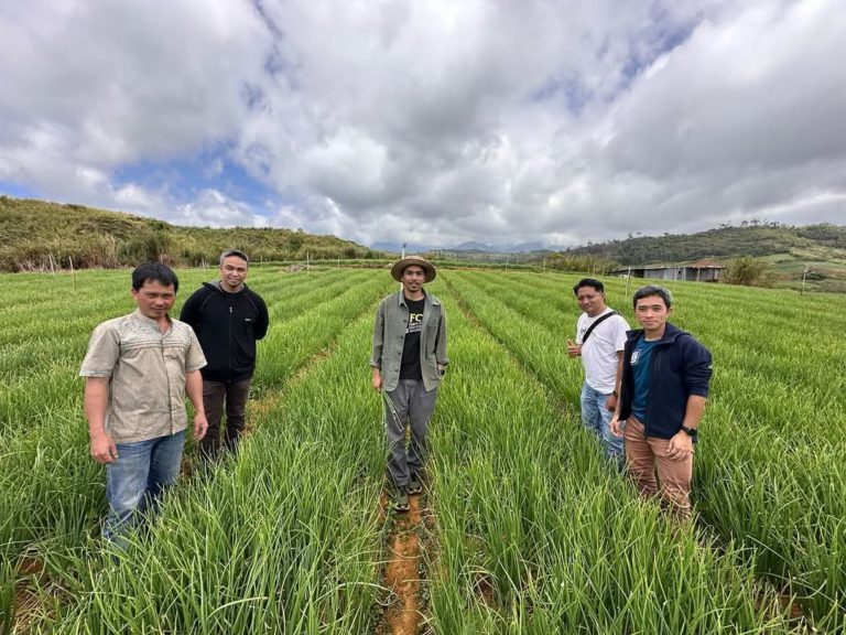 Sabah boleh! Bantu Growers buktikan Sabah mampu hasilkan bawang merah berkualiti