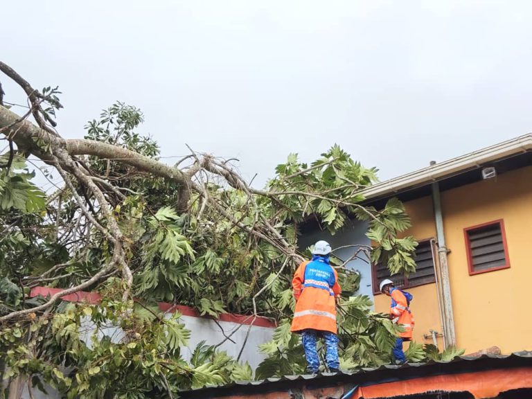 Keluarga sempat selamatkan diri, rumah hampir dihempap pokok besar