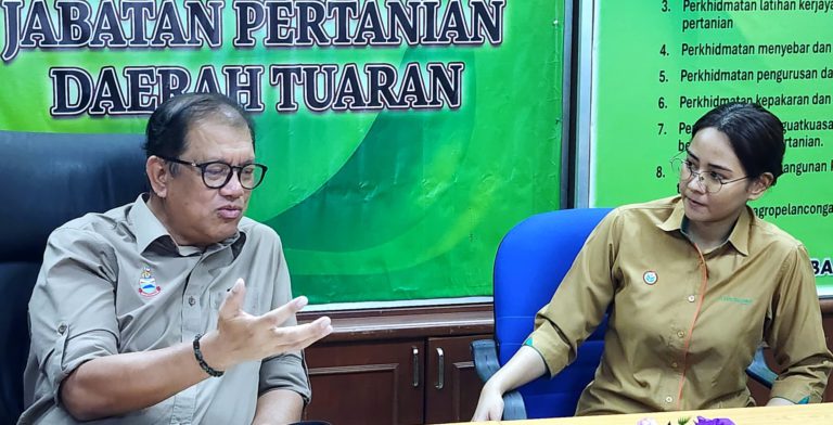 Kiulu perkasa sektor pertanian, lonjak ekonomi luar bandar